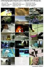 Смотреть Drugs, Inc. онлайн бесплатно.