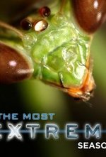Regarder The Most Extreme en ligne gratuitement.